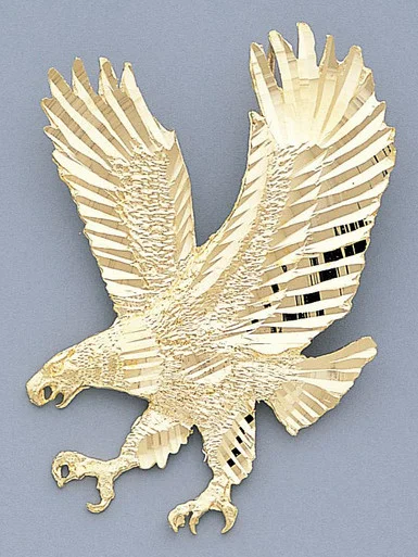 sarraf202605031923112262286